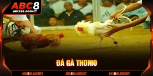 đá gà thomo